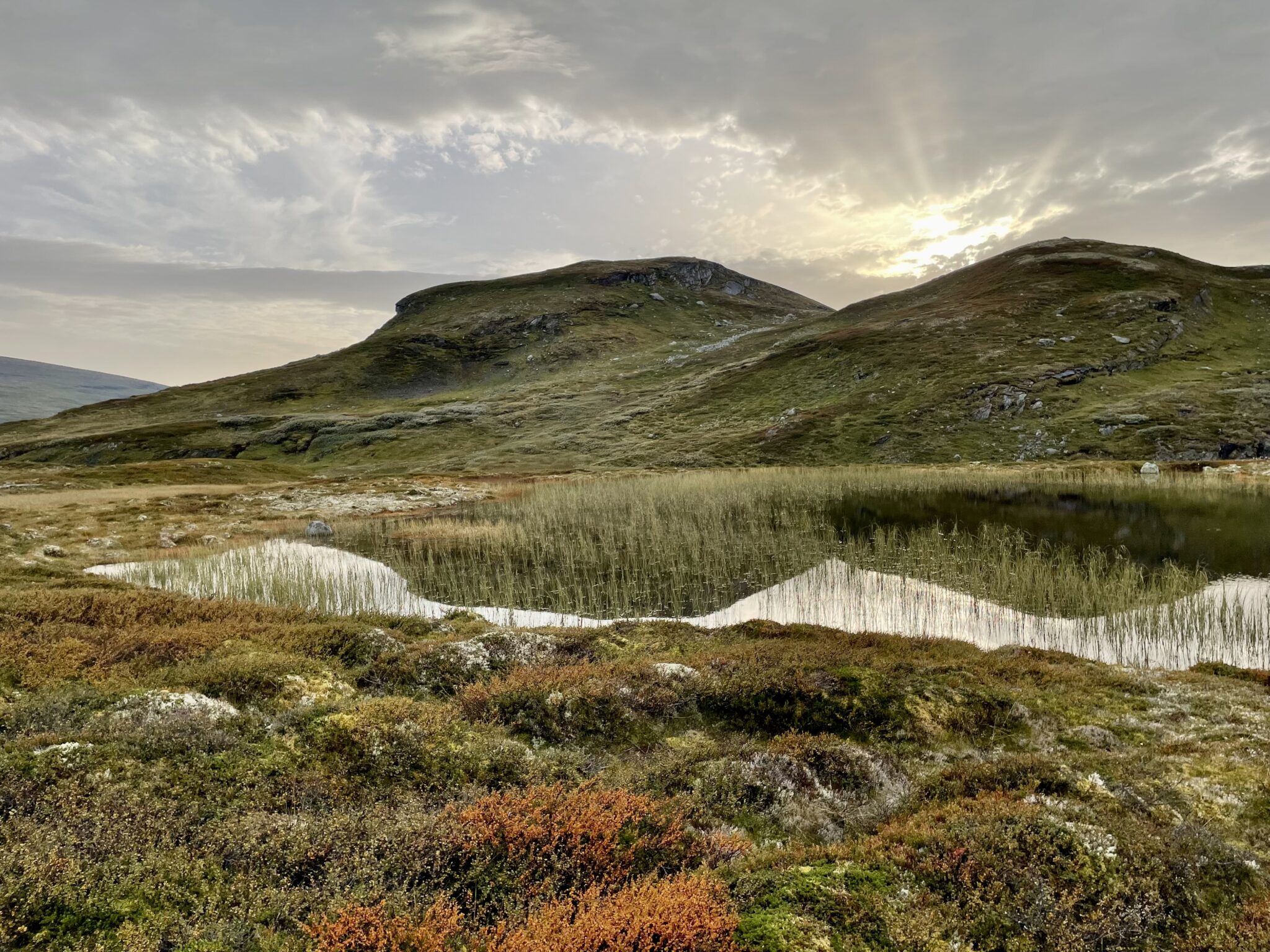 Foto: Marit Stadheim